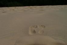 Next steps