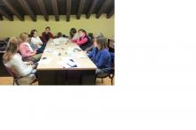 Focus group - IFI Focus group - IFI