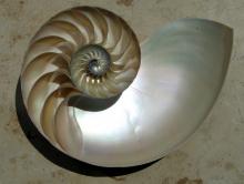 The spiral of development
